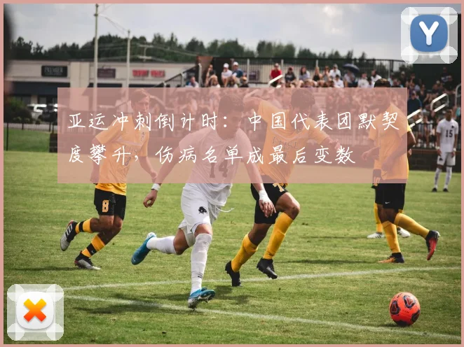 亚运冲刺倒计时：中国代表团默契度攀升，伤病名单成最后变数