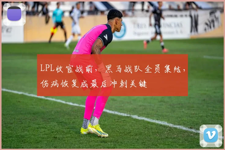 LPL收官战前,黑马战队全员集结,伤病恢复成最后冲刺关键