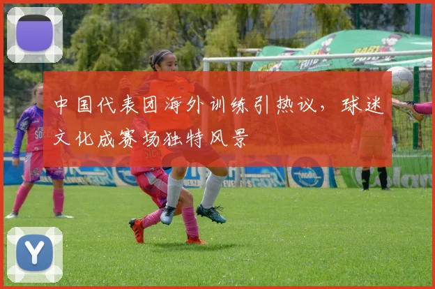 中国代表团海外训练引热议，球迷文化成赛场独特风景