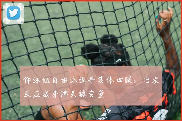 仰泳组自由泳选手集体回暖，出发反应成夺牌关键变量